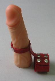 3143-2 Поводок